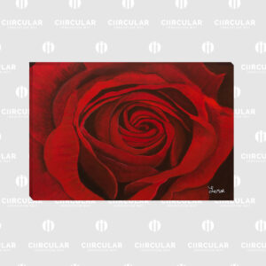Cuadro Rosa CC012-008 90cms x 60cms